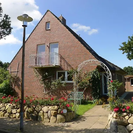 Foehrer Seeschwalbe *