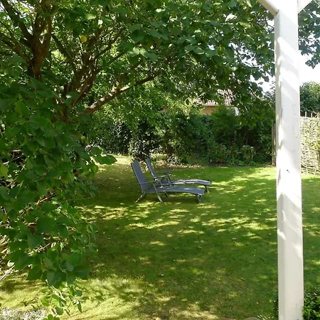 Foehrer Seeschwalbe * Wyk auf Foehr