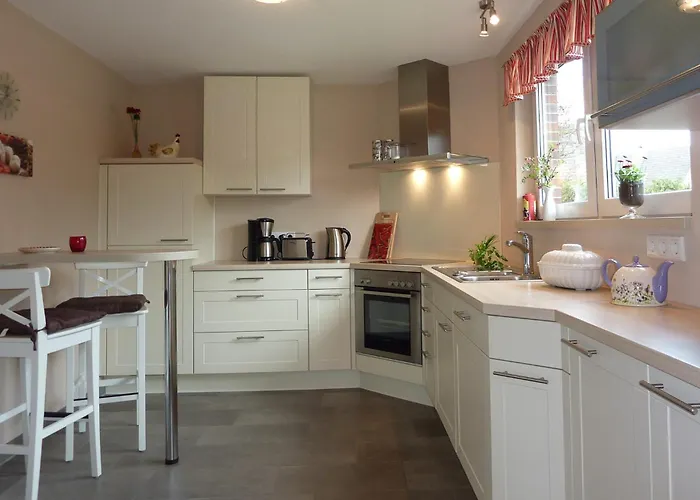 Foehrer Seeschwalbe *